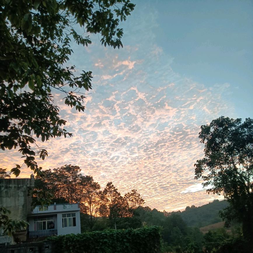 誰路过俄dē世界