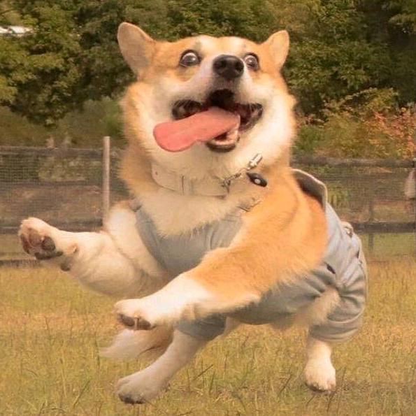 AAA建材批发李哥