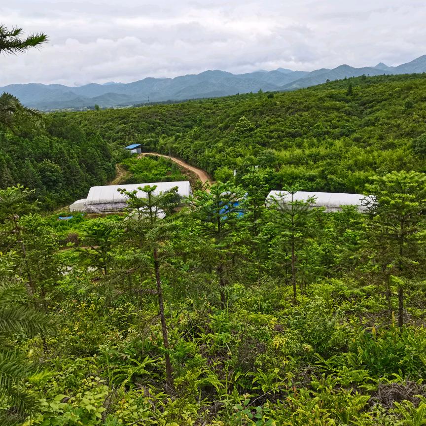 慧敏种养家庭农场