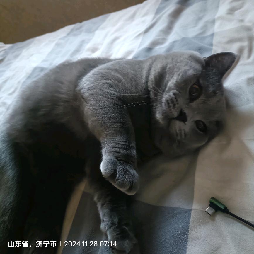 邹城市智能道具运营中心