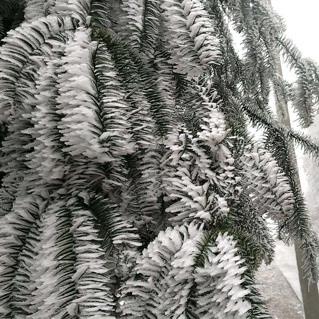 人生就是一个考验