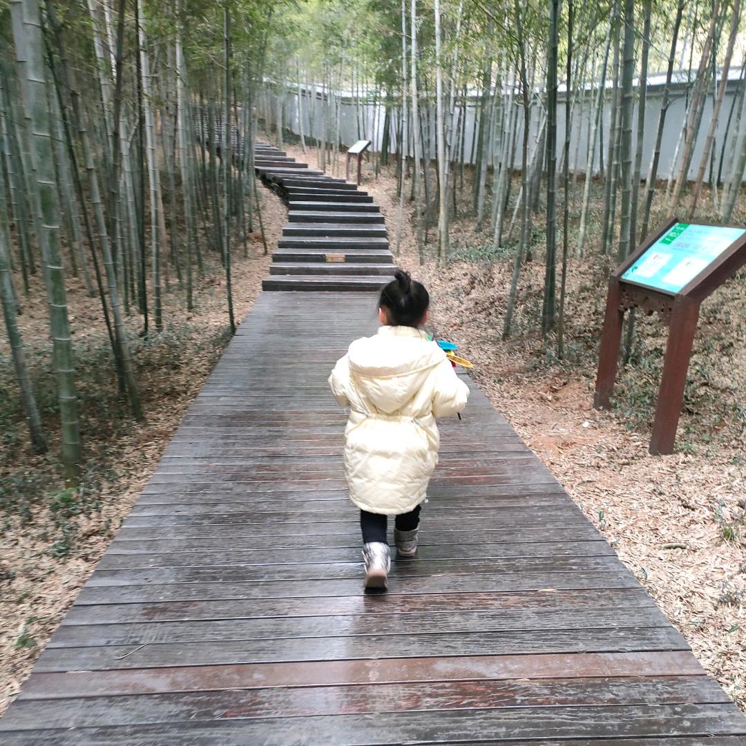 尹姓啥名