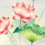 静雨清