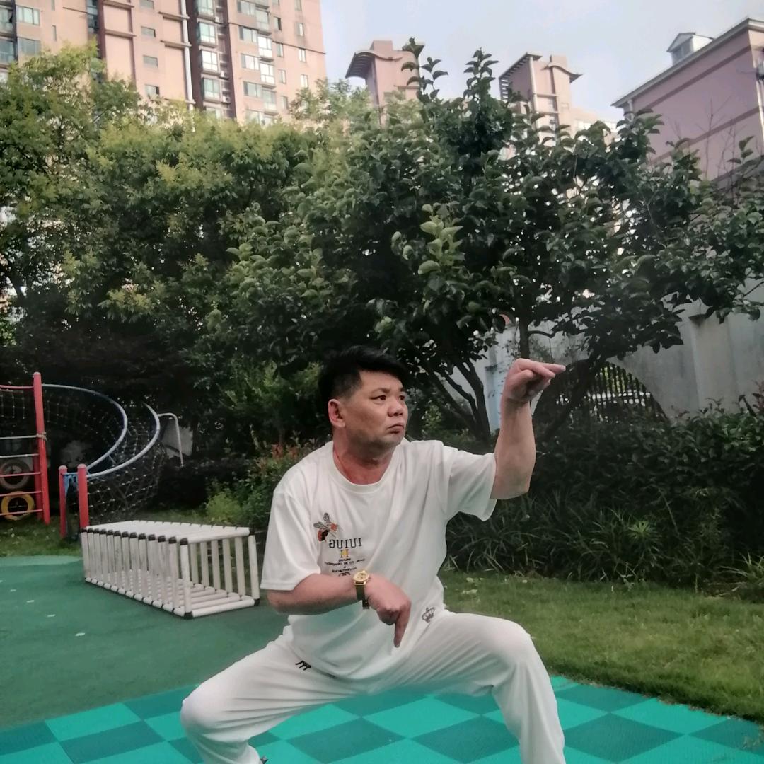 雄鹰展翅雁南飞