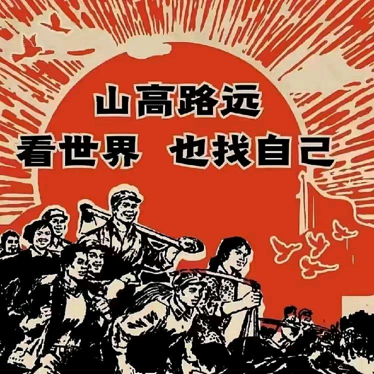 叶瓣花落心微凉