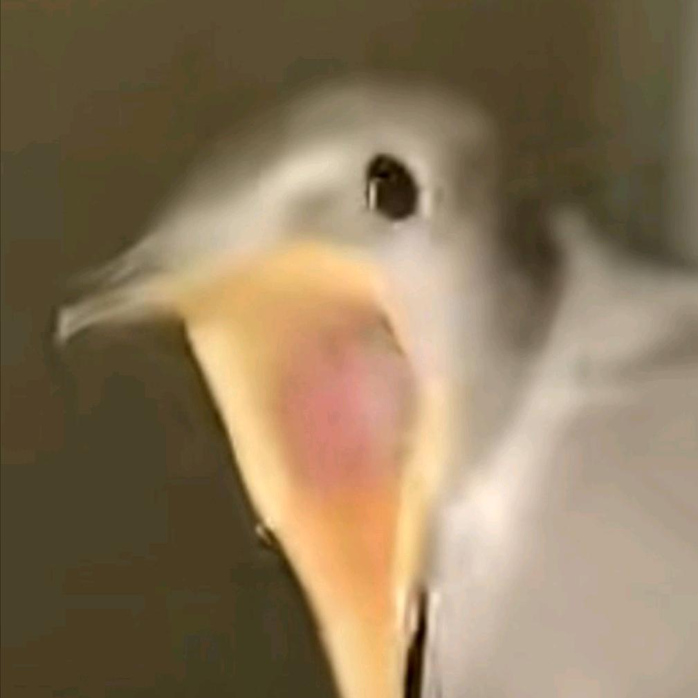 你惹怒了雄虱