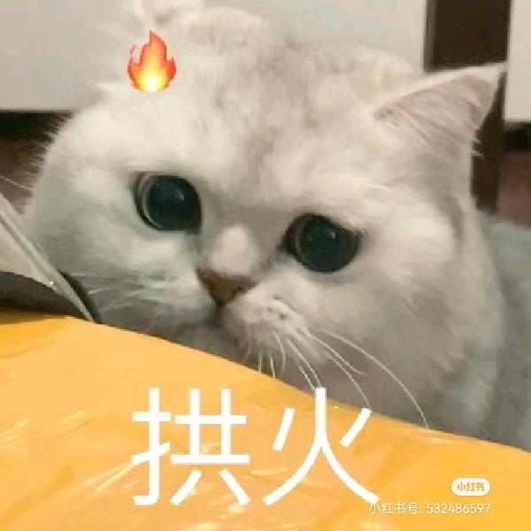 火树银花花花花