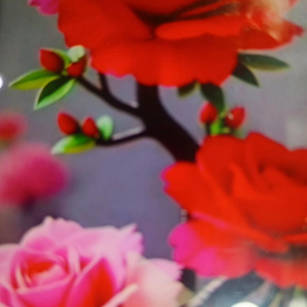 花花世界。😶