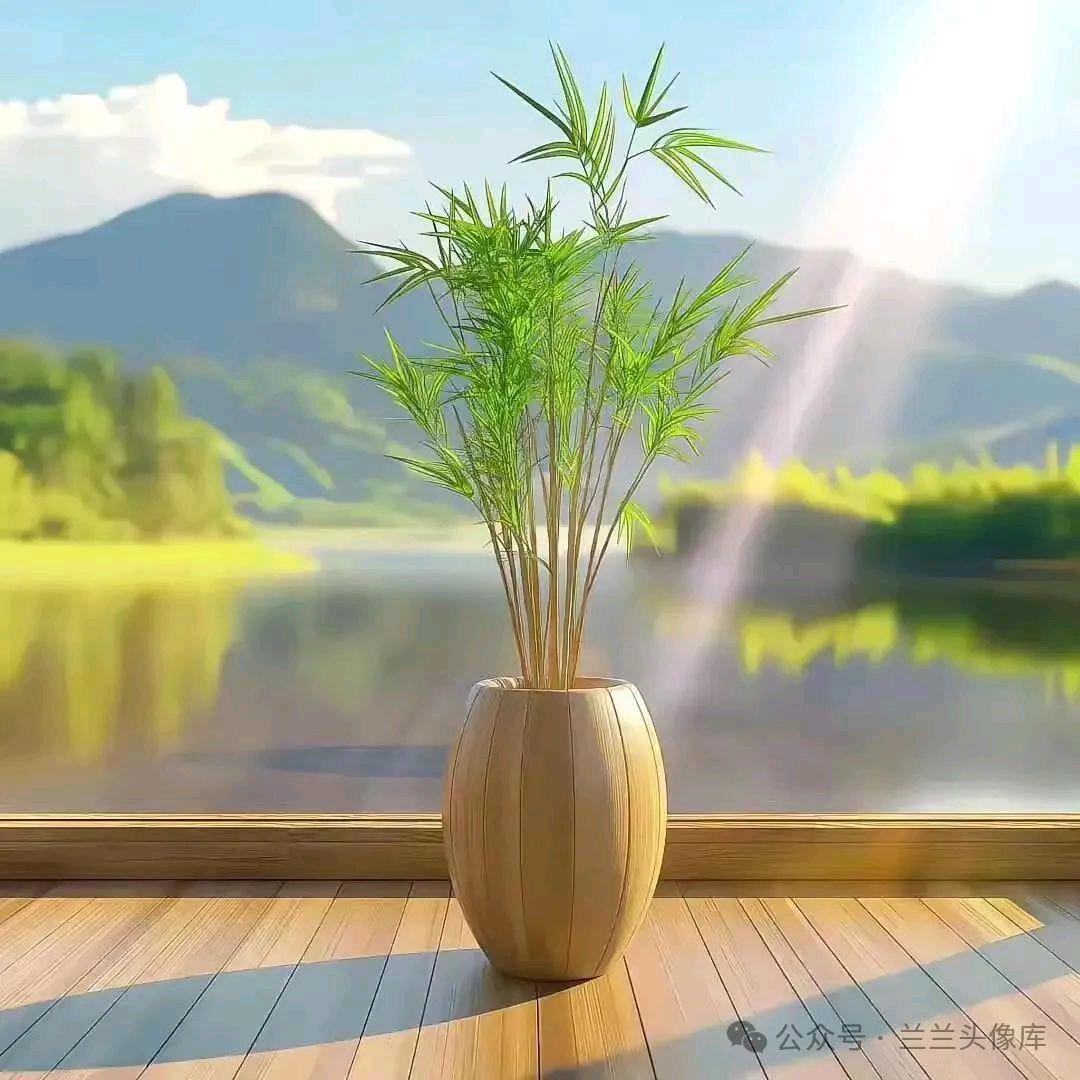 静默安宁