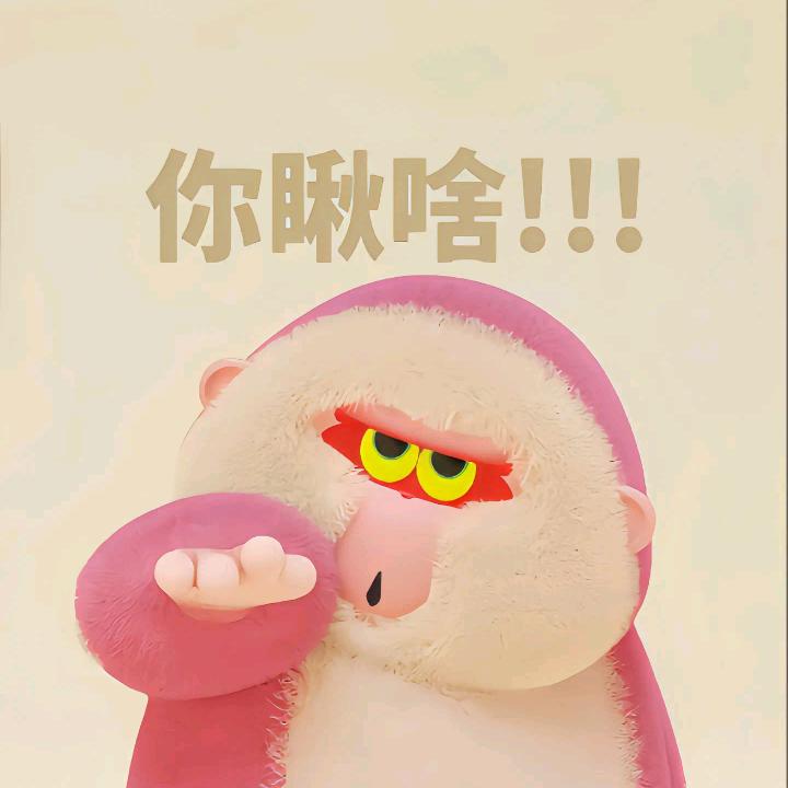🌻小斌哥