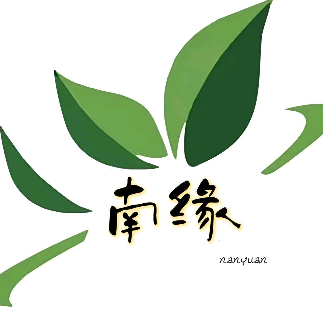 小连的信阳毛尖日记