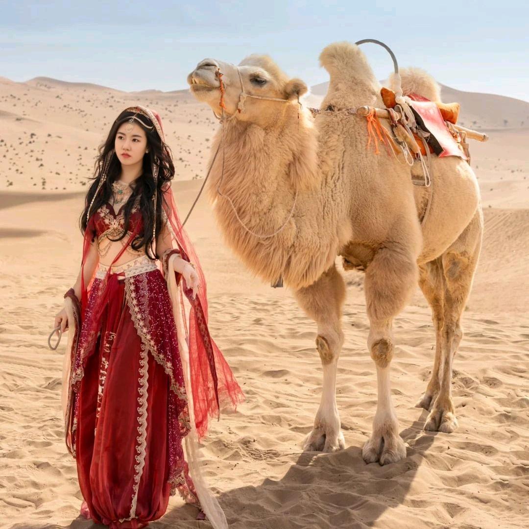 莉莉子（带娃中）