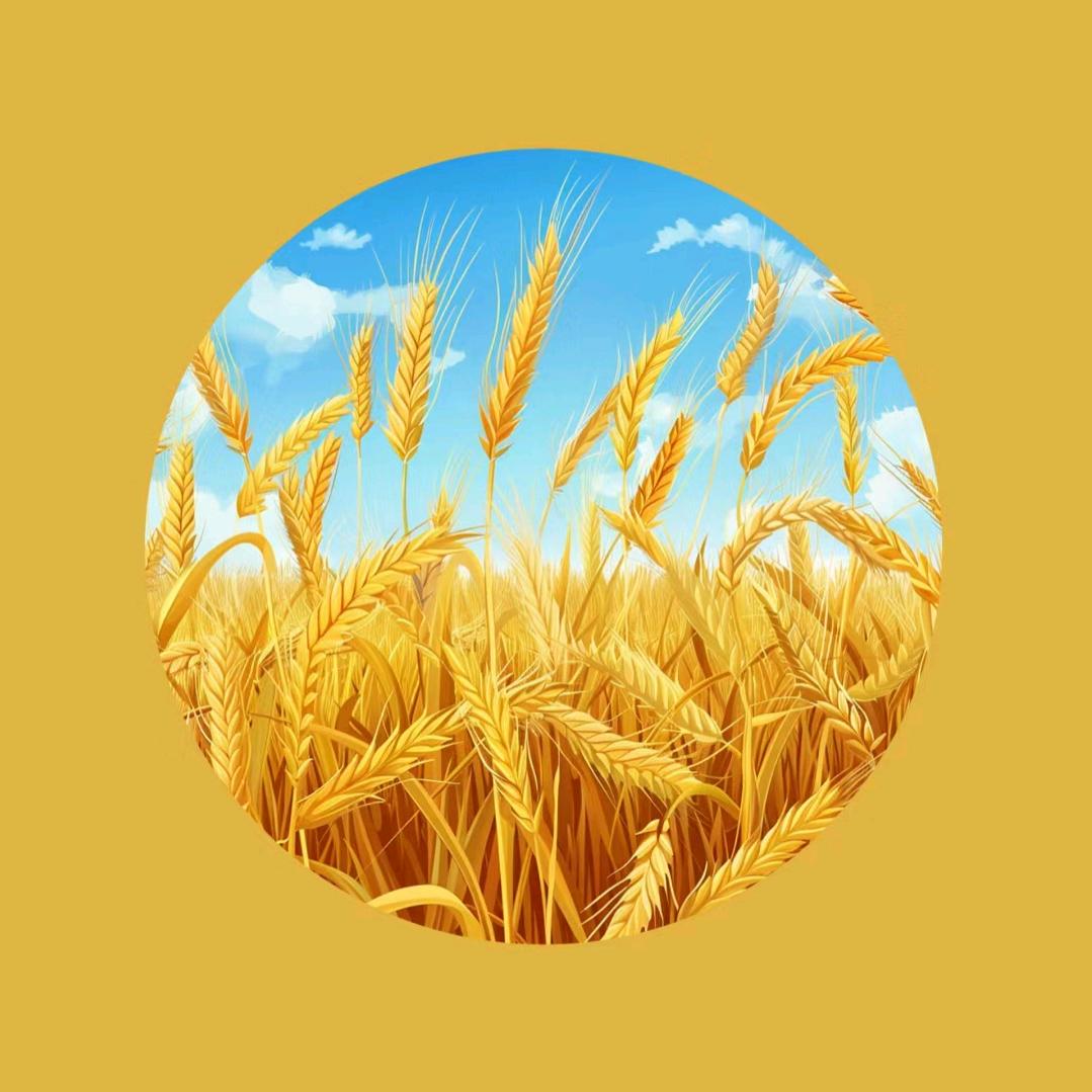 時光《文案馆》