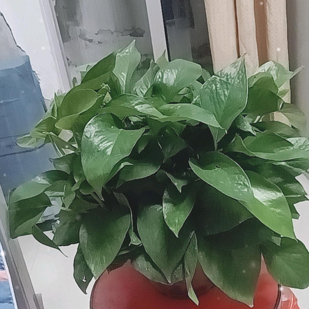岁月静好ㅤ