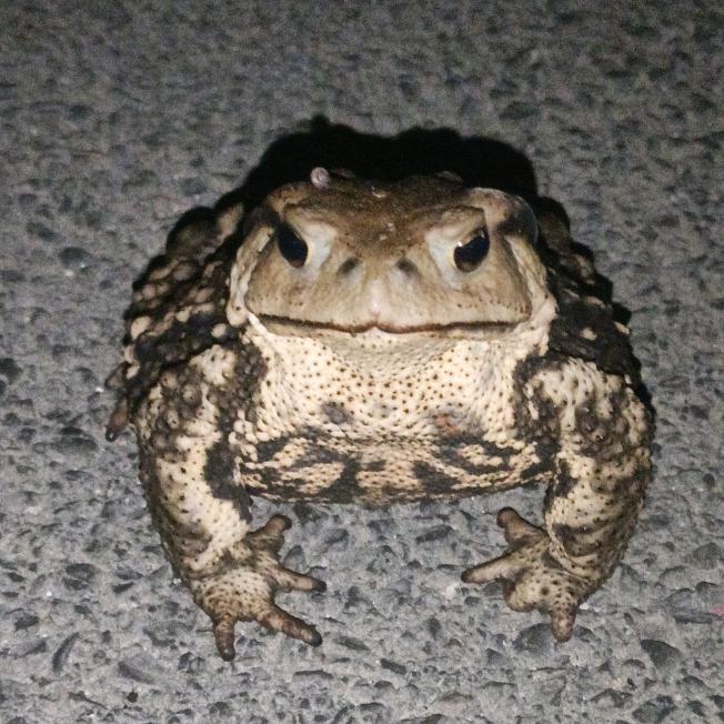 一生只做自由人