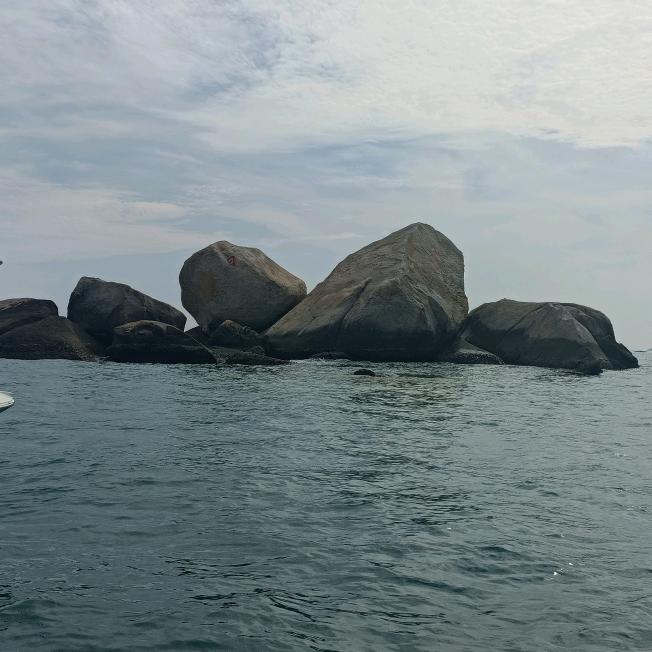 孙♚其自然，，