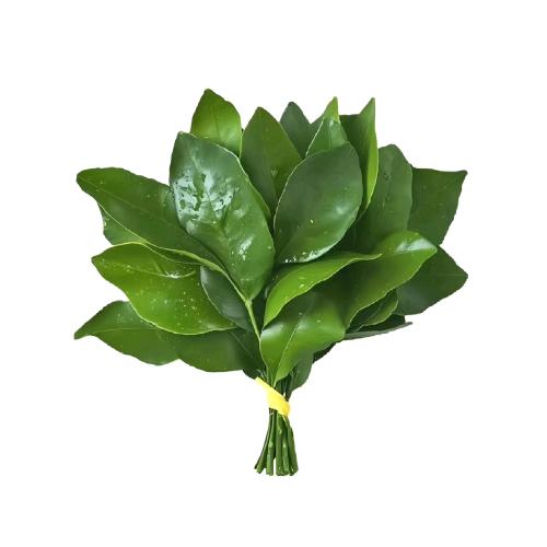 你真的很讨厌