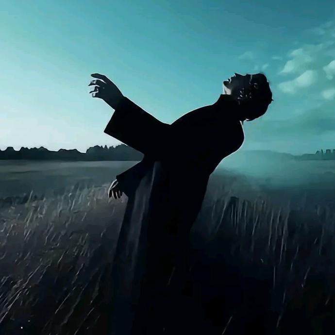 不在相信任何爱情