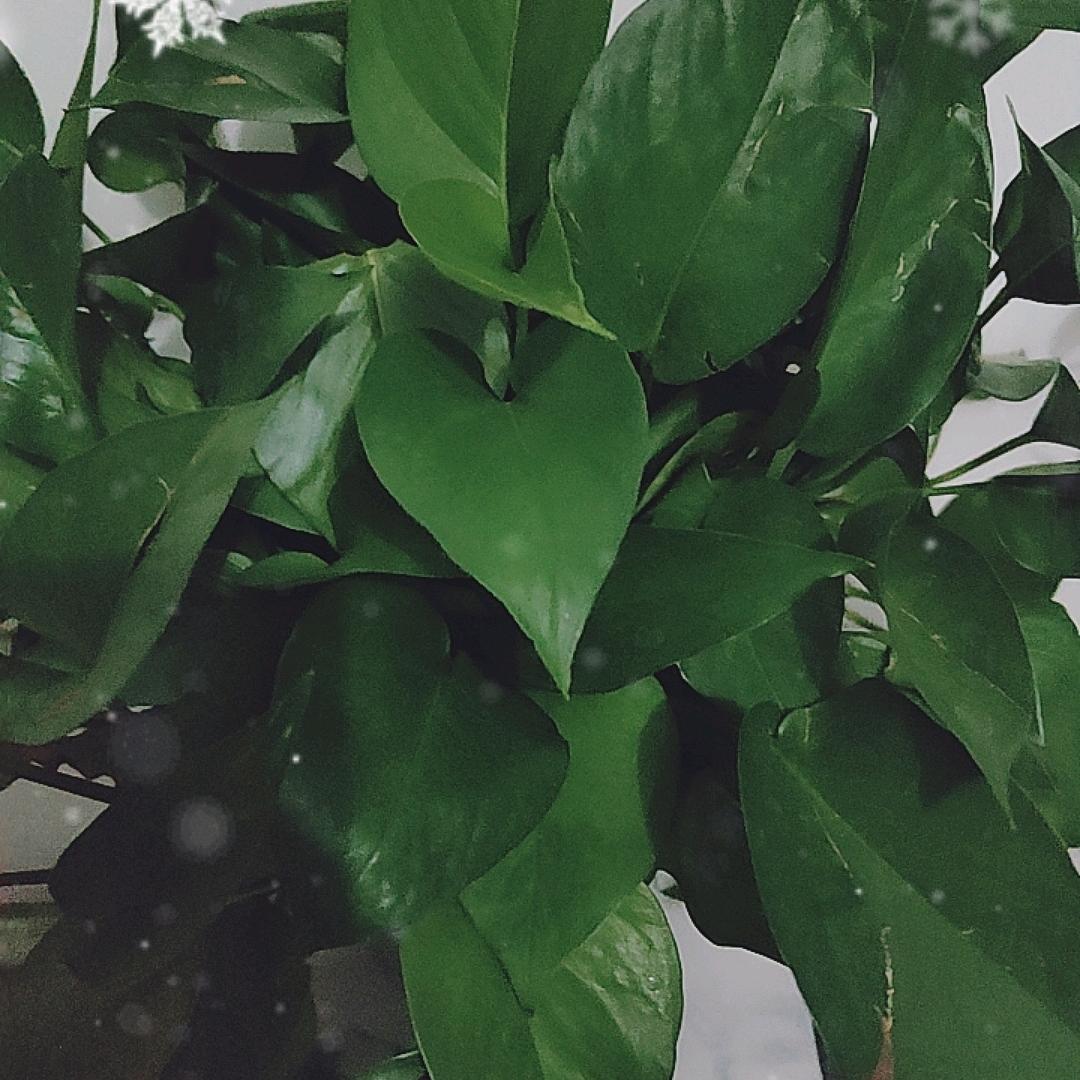 余生有你