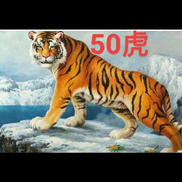 50虎
