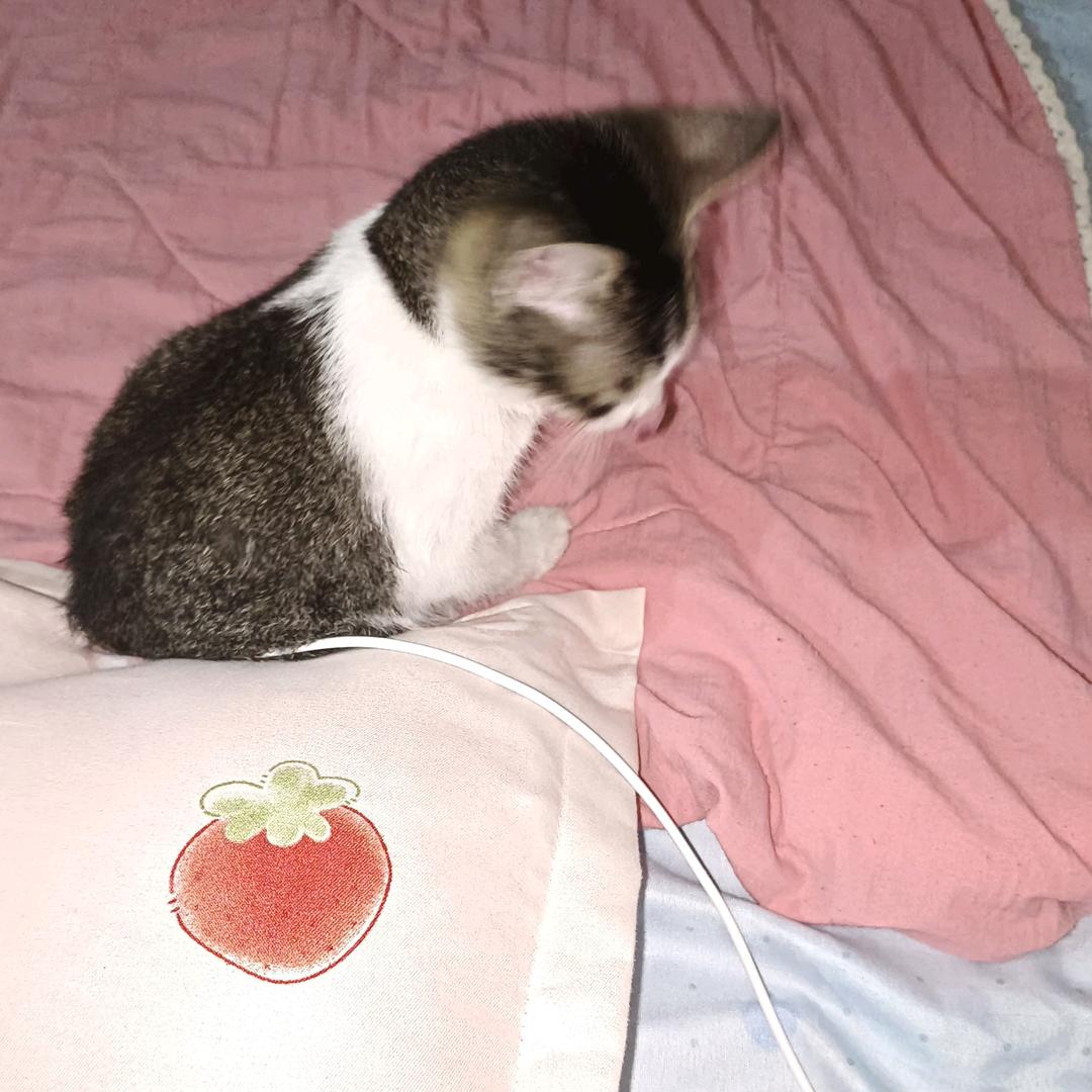 小姐姐的❤❤