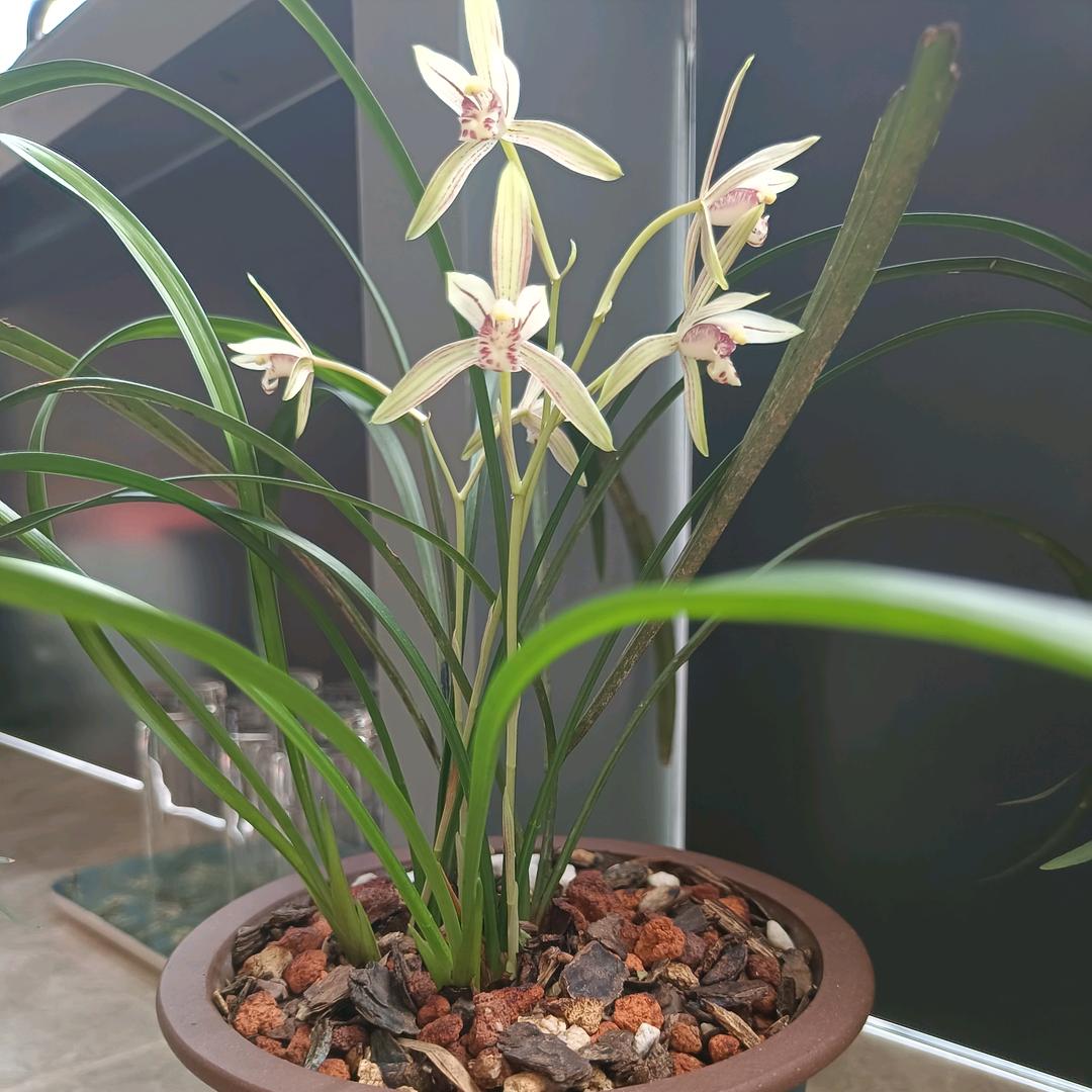 🌼随遇而安✊🏻