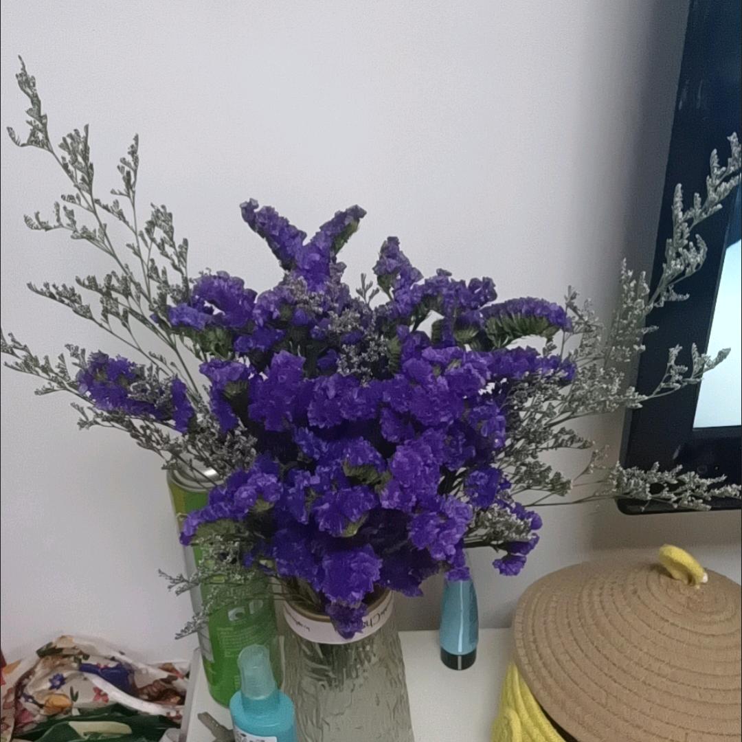 阳光