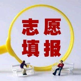 晴天姐姐聊升学