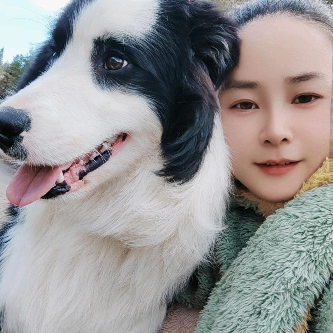 杨废废🐇
