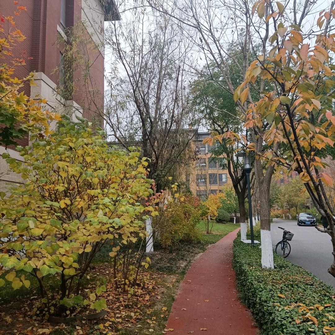 做好自己