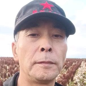 刀巴狼