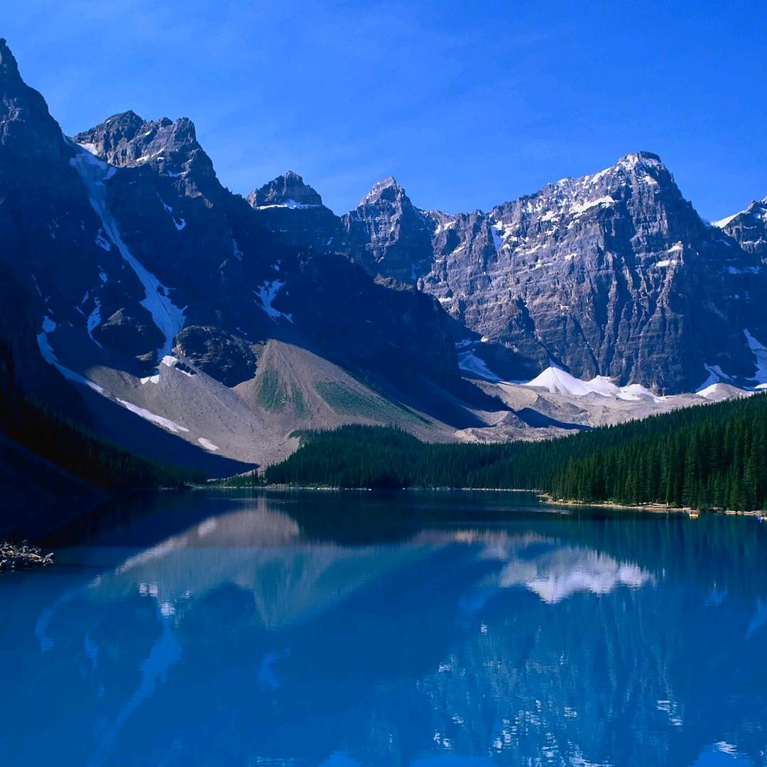 江湖险恶，不行就撤