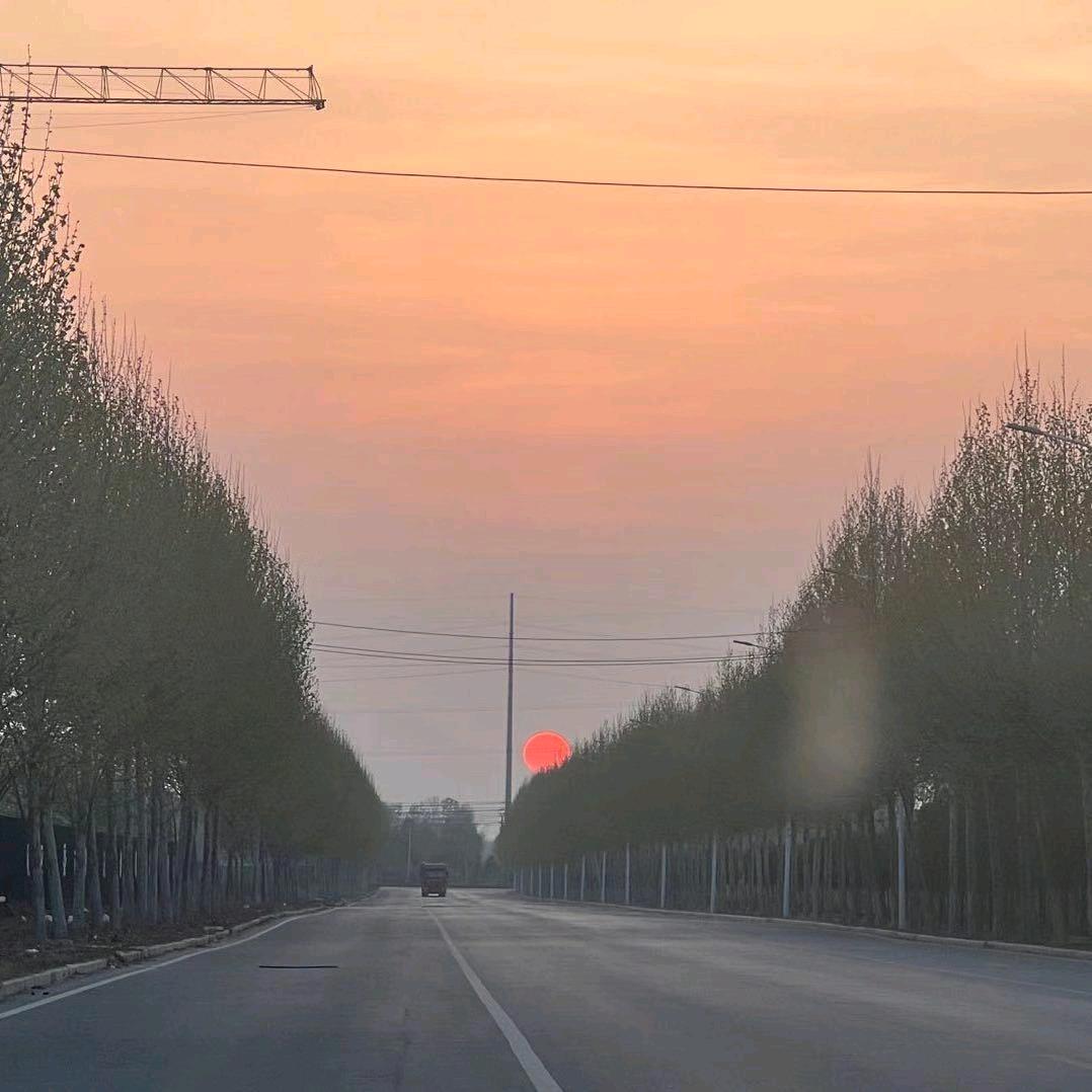 菏泽中考升学规划户老师