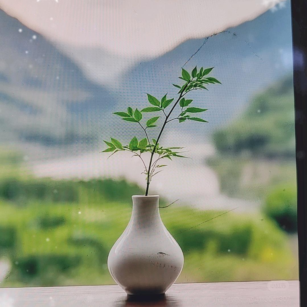 荆门市东宝区挪辩百货店（个体工商户）