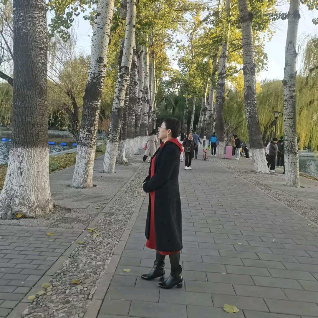 陈晨