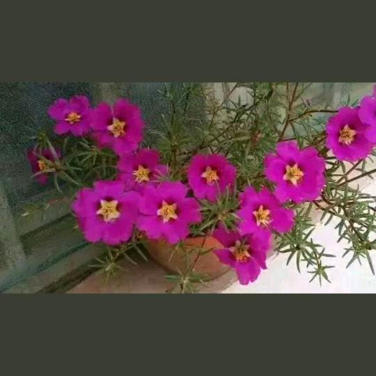 🌈ꦿ໊孙入᭄🐳王訫᭄ꦿᩚ