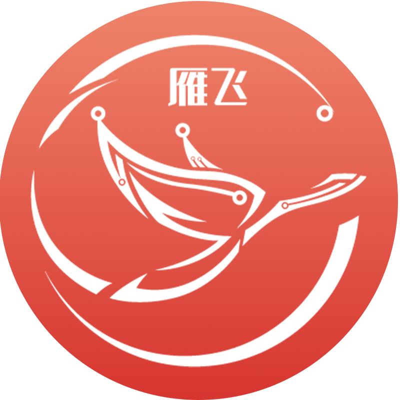 雁飞物联专卖店5G随身WiFi