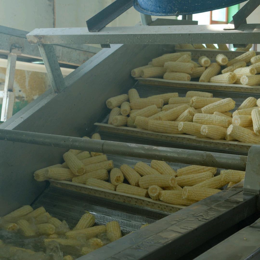 吉林省松原市盛鑫玉米厂