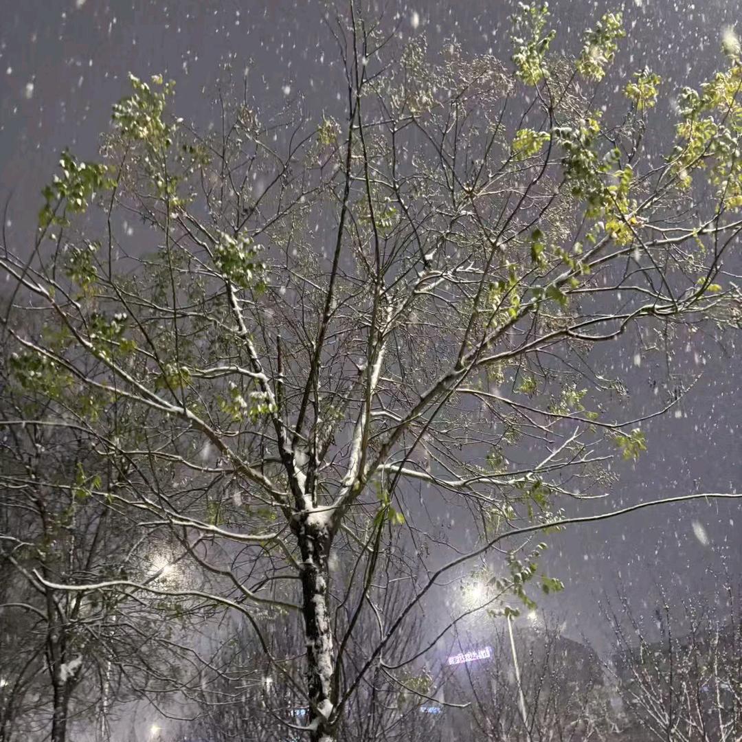 年货批发~26年新款上线