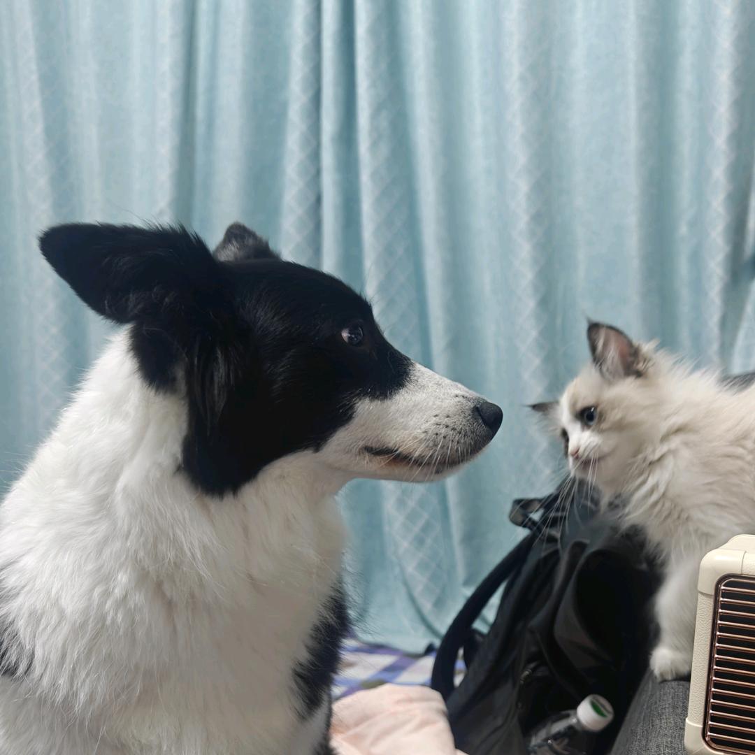 骨头臻痛