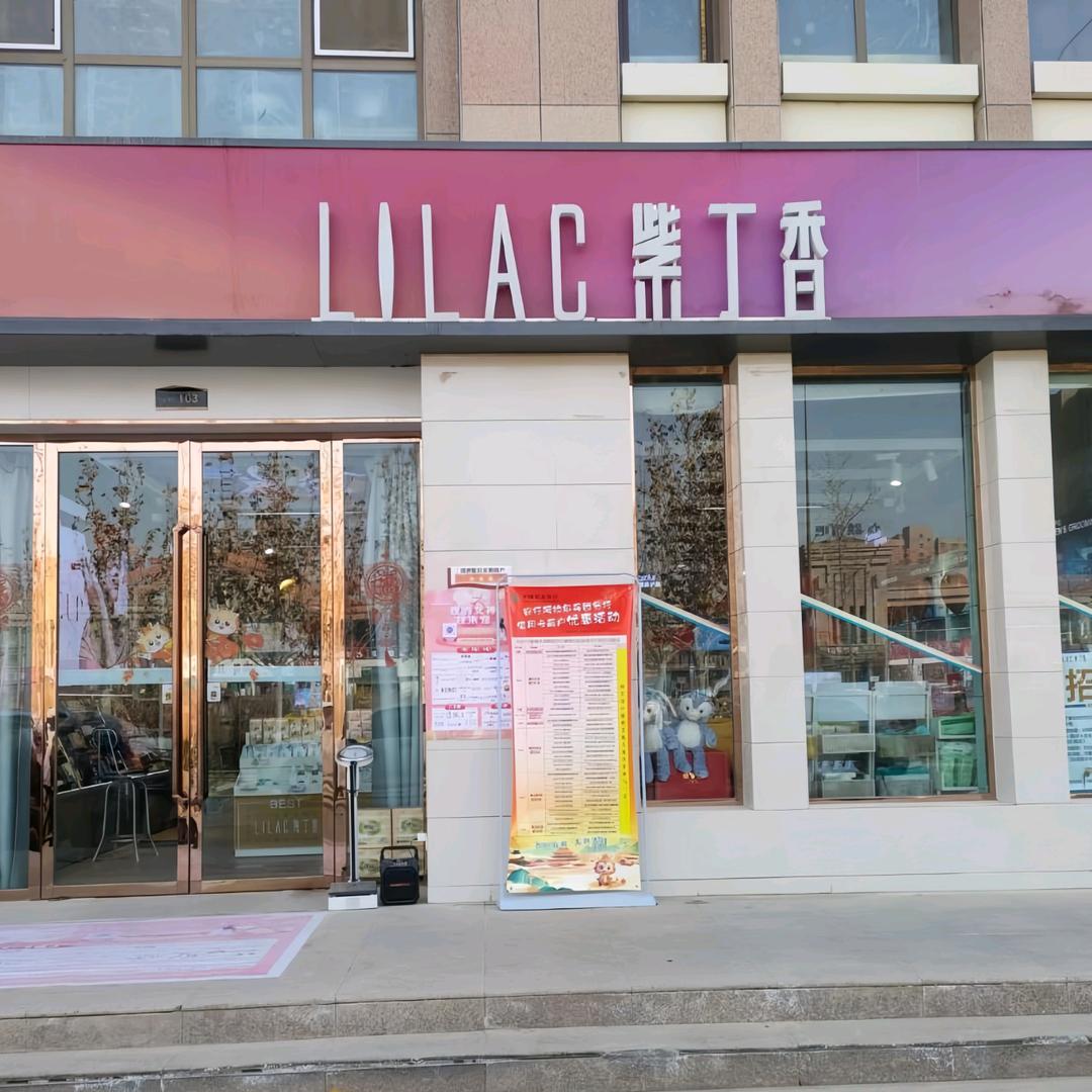 紫丁香-王琳