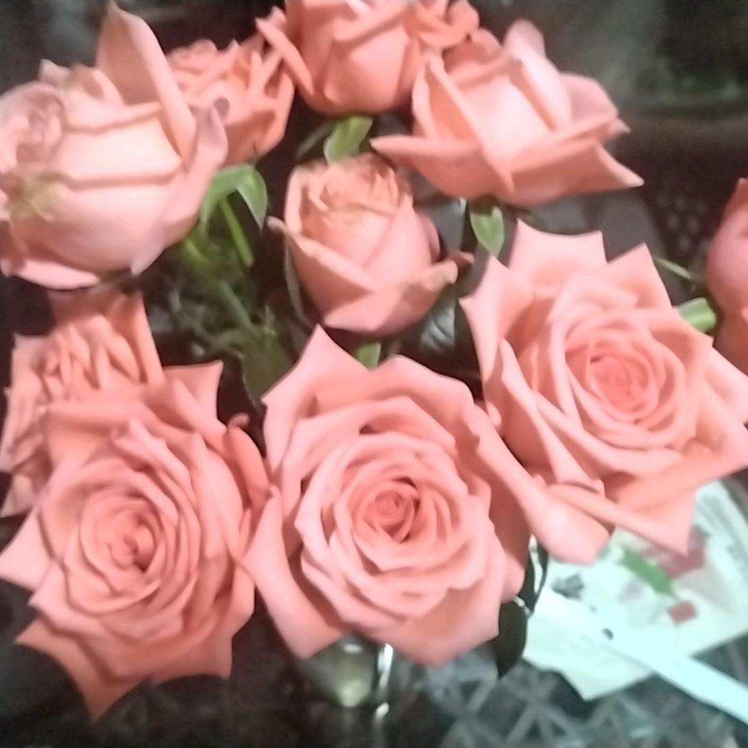 🐝余生安好🍀