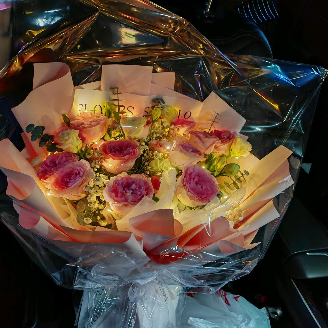 猫三千的缅因猫