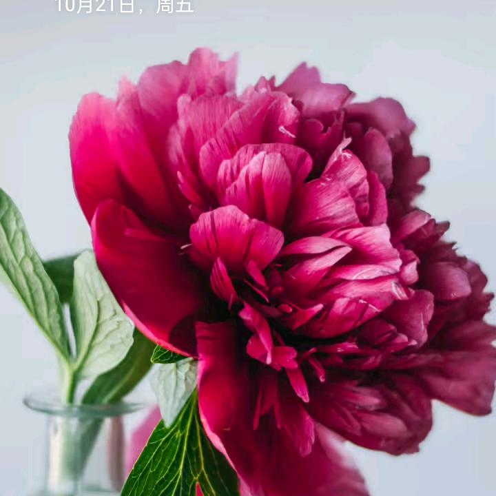用户87081101