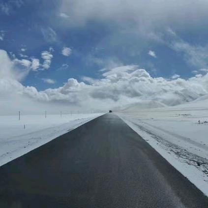 鹰击长空⁹¹⁹⁷