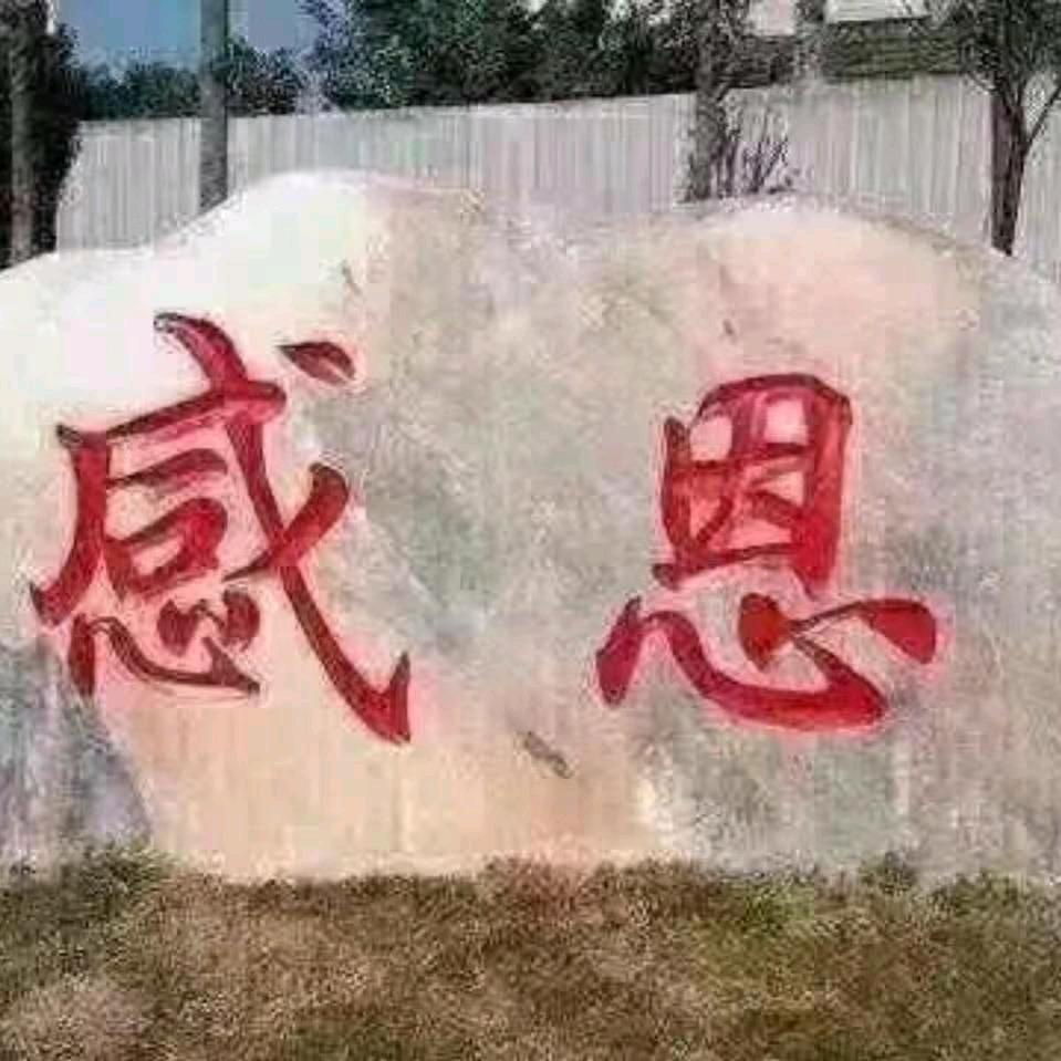 真名胡四飞