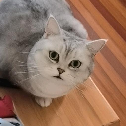 洗胸毛用飘柔