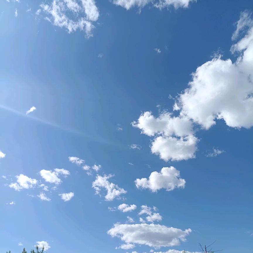 呼啦圈的（倔丫头）