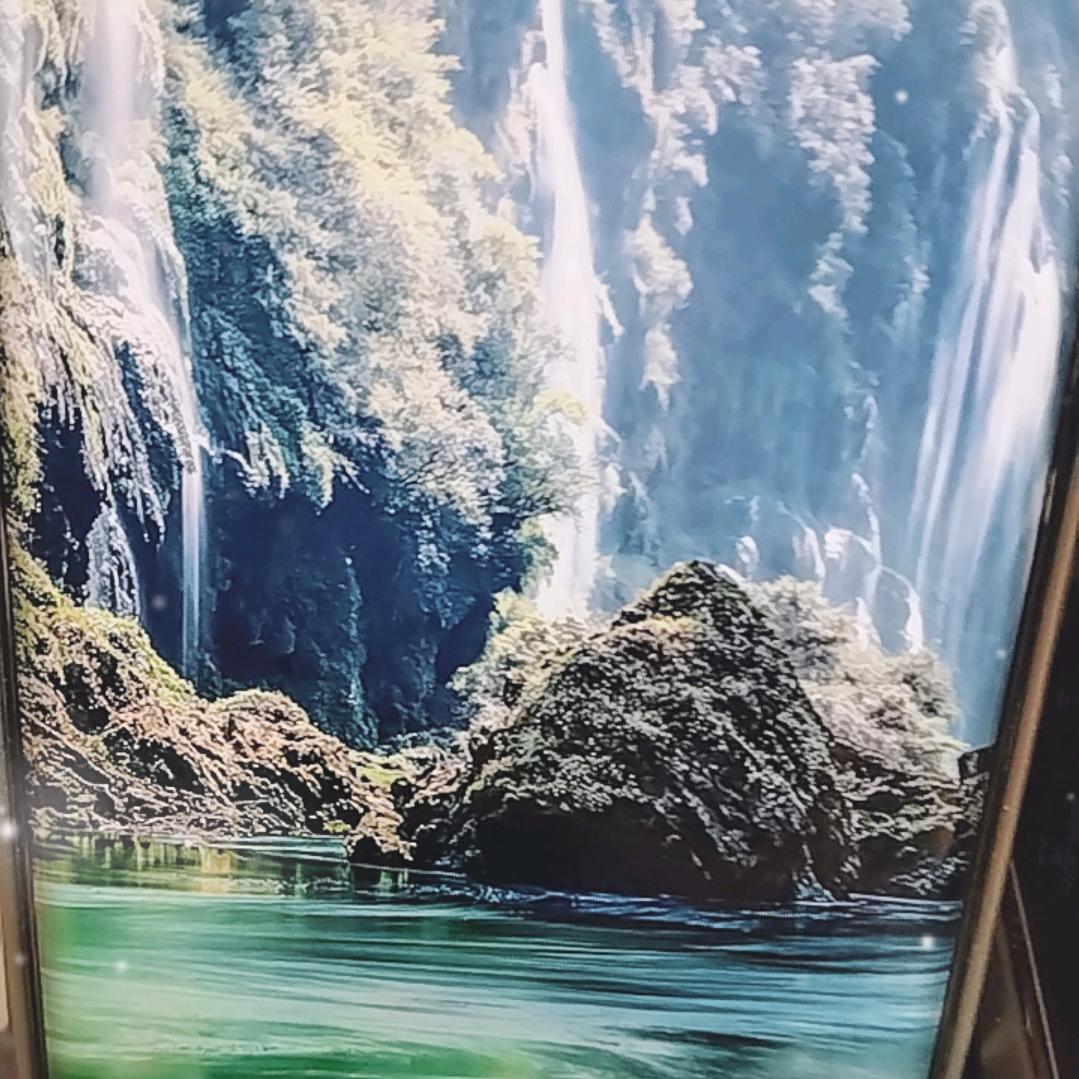 养鱼老