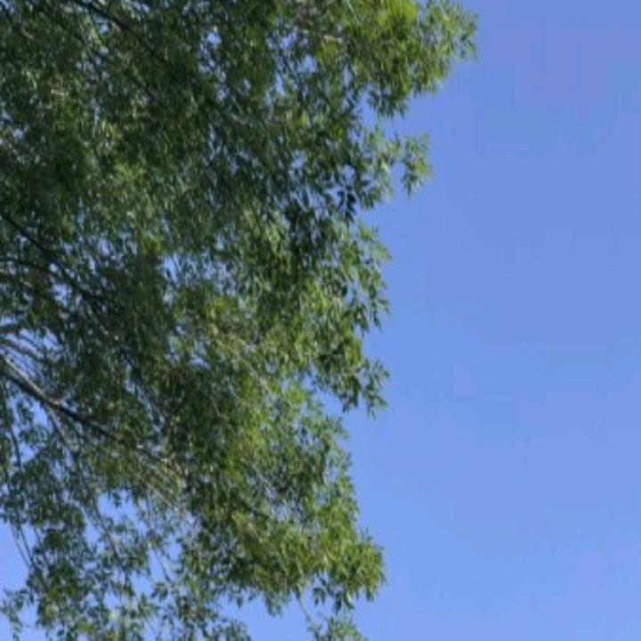 你好